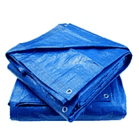 Полог ПВХ (тент)